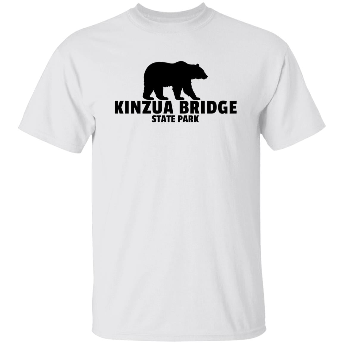 Kinzua Bridge State Park T-Shirt