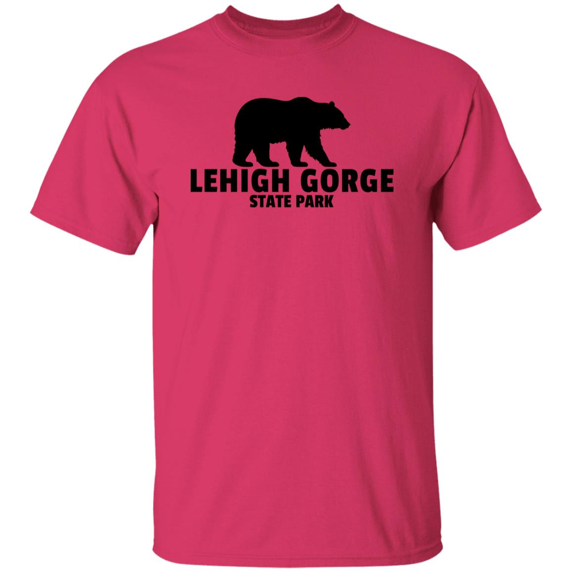 Lehigh Gorge State Park T-Shirt