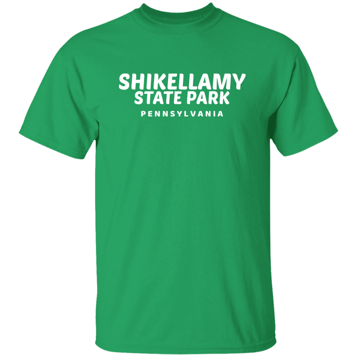 Shikellamy State Park T-Shirt