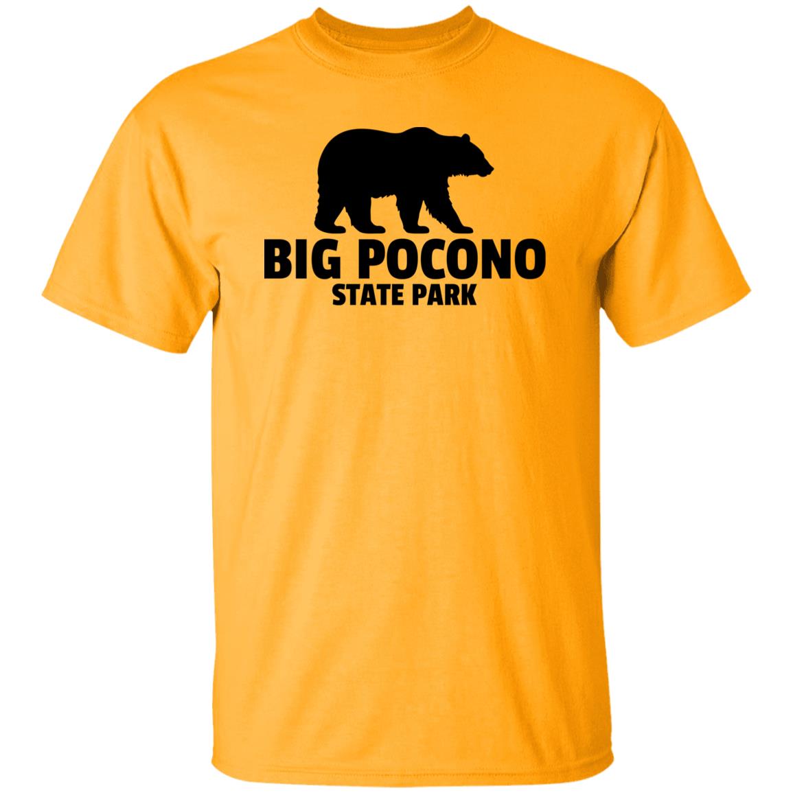 Big Pocono State Park T-Shirt