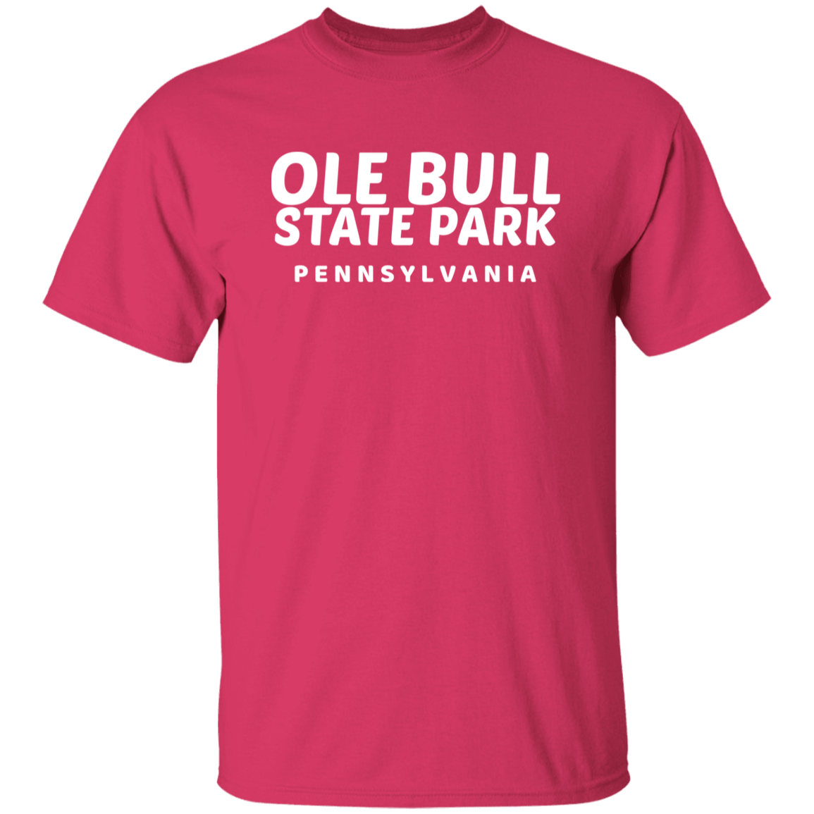 Ole Bull State Park T-Shirt