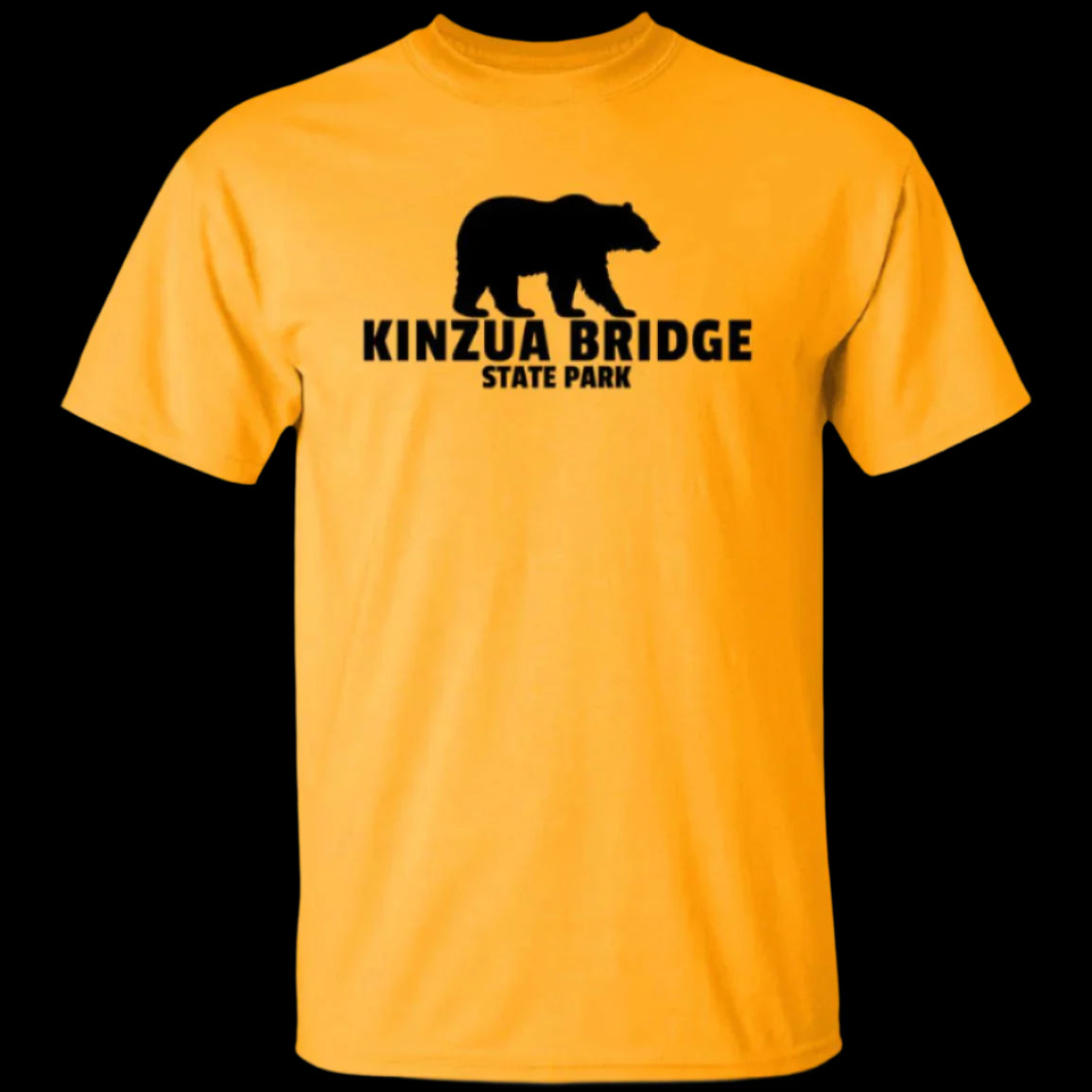 Kinzua Bridge State Park T-Shirt