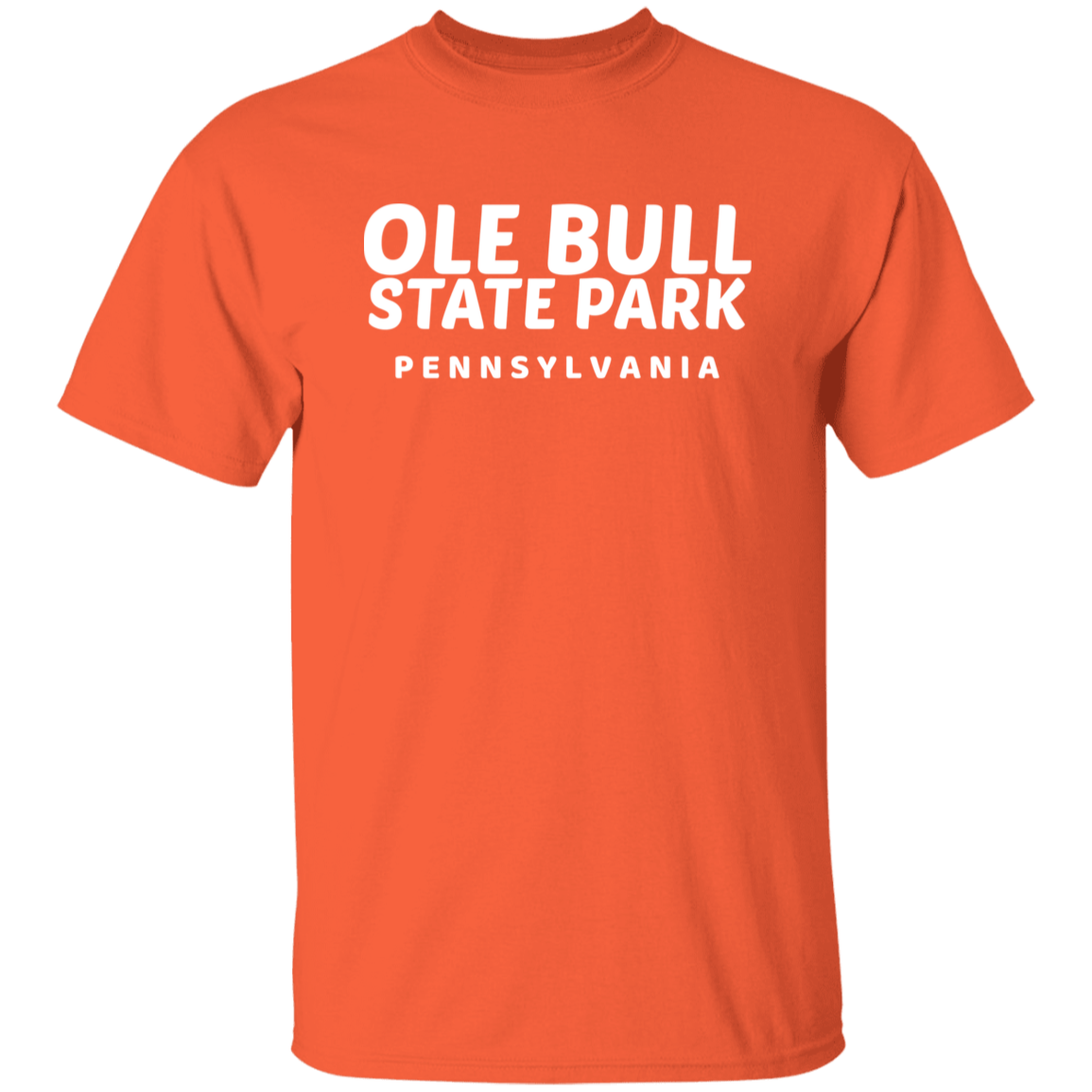 Ole Bull State Park T-Shirt