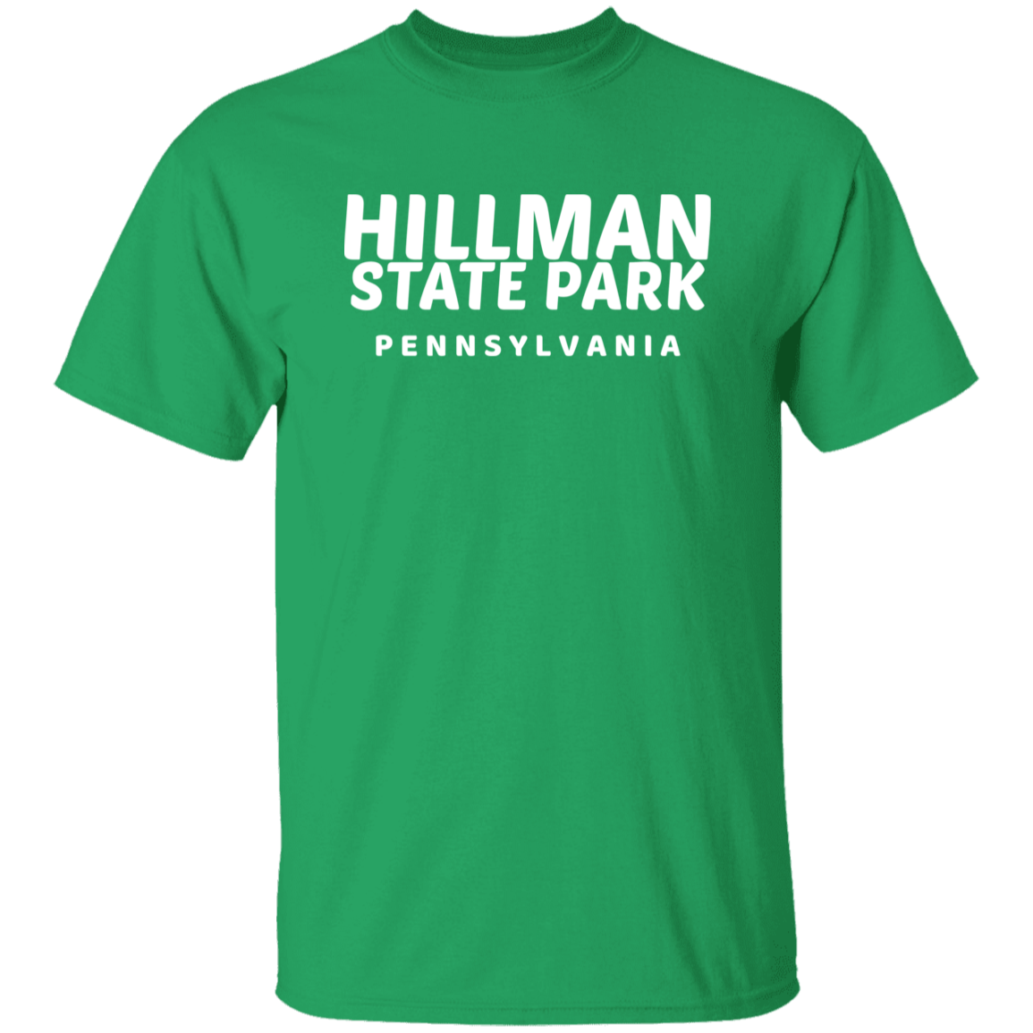 Hillman State Park T-Shirt
