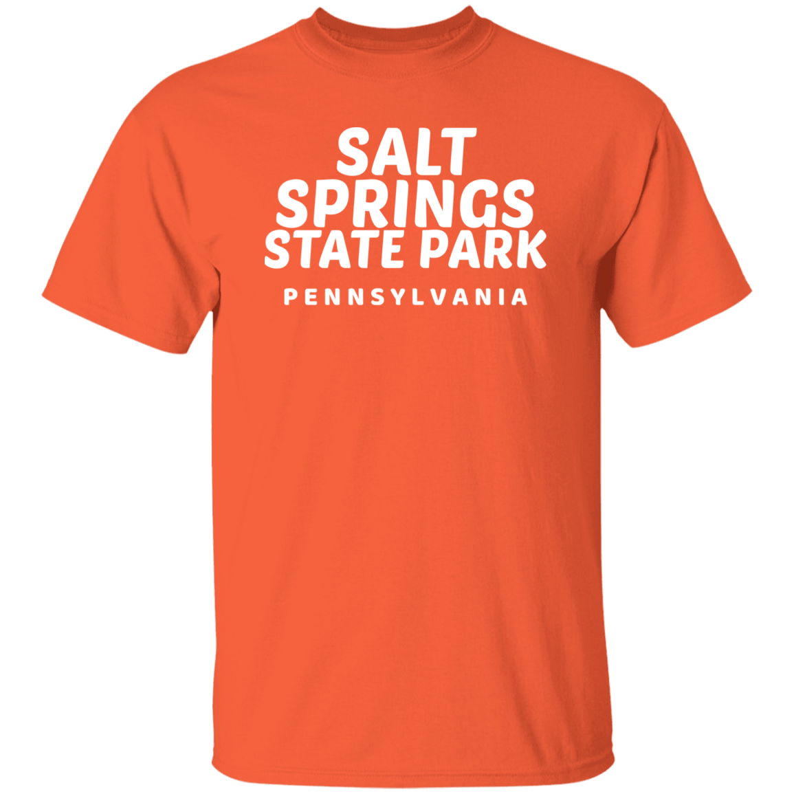 Salt Springs State Park T-Shirt
