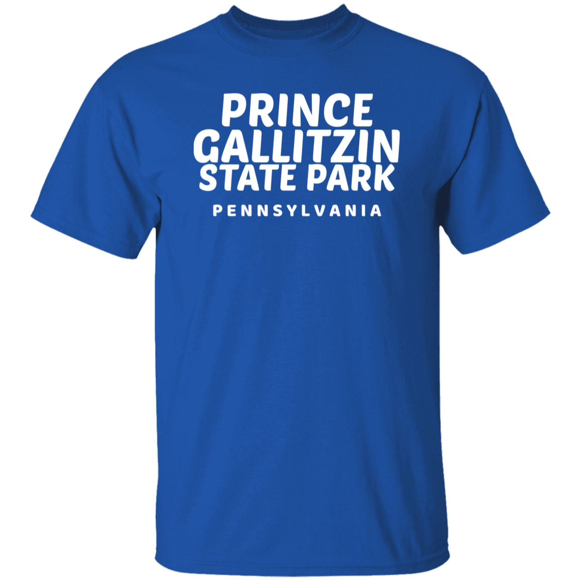 Prince Gallitzin State Park T-Shirt