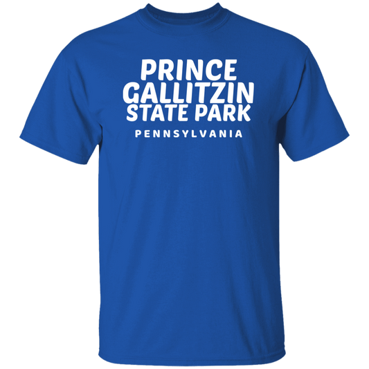 Prince Gallitzin State Park T-Shirt