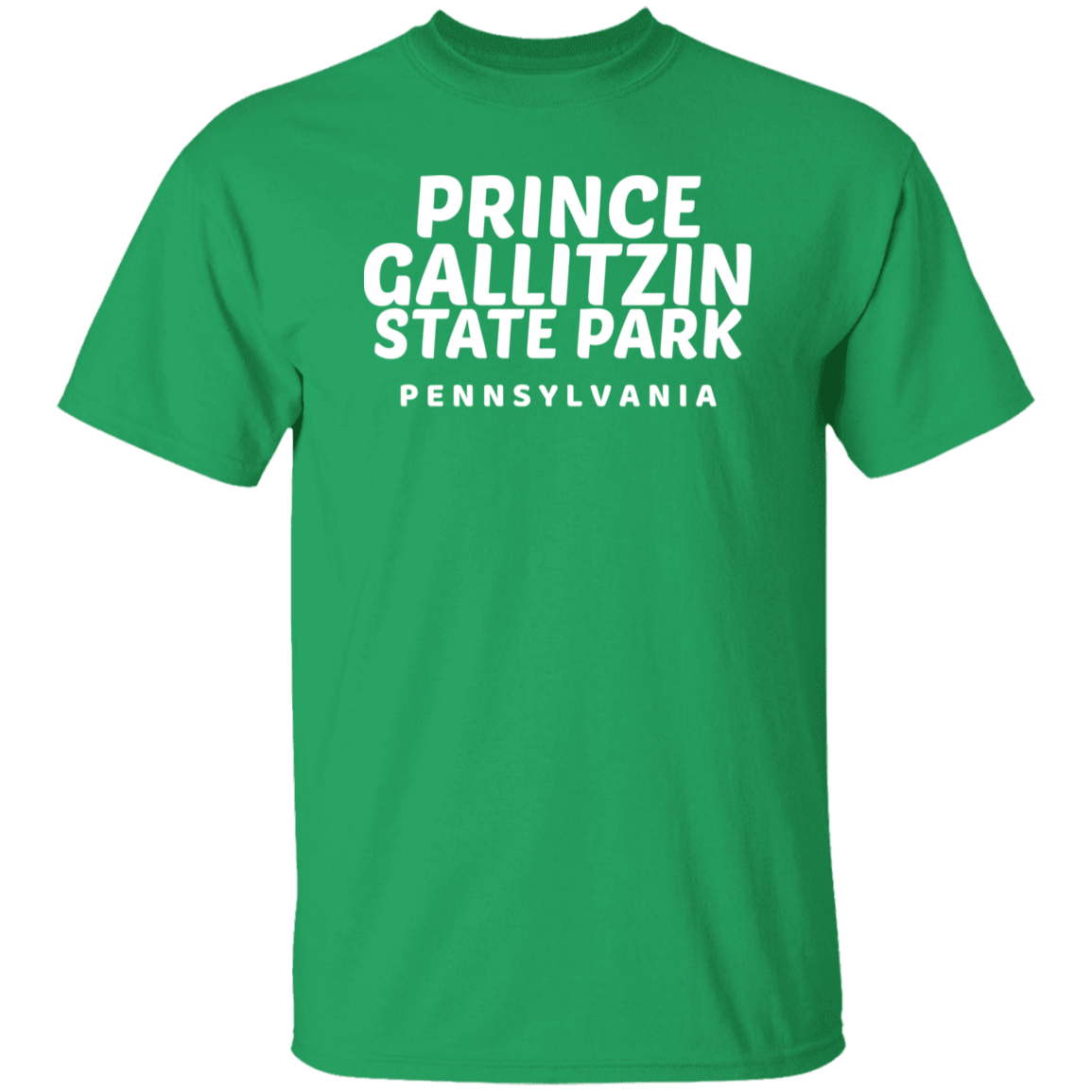 Prince Gallitzin State Park T-Shirt