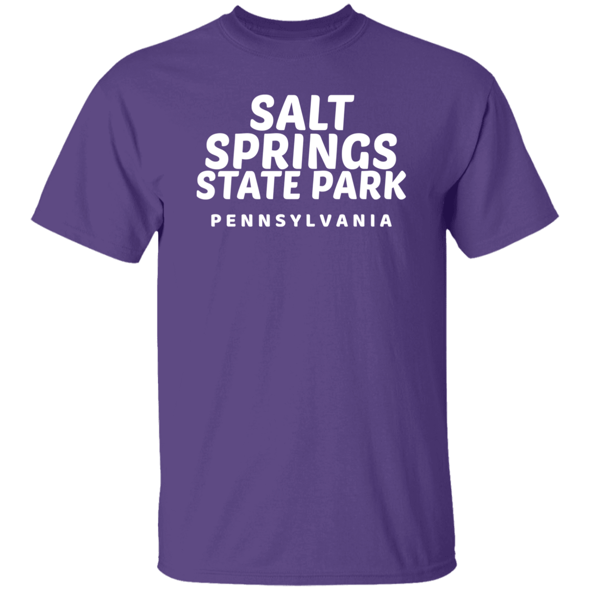 Salt Springs State Park T-Shirt