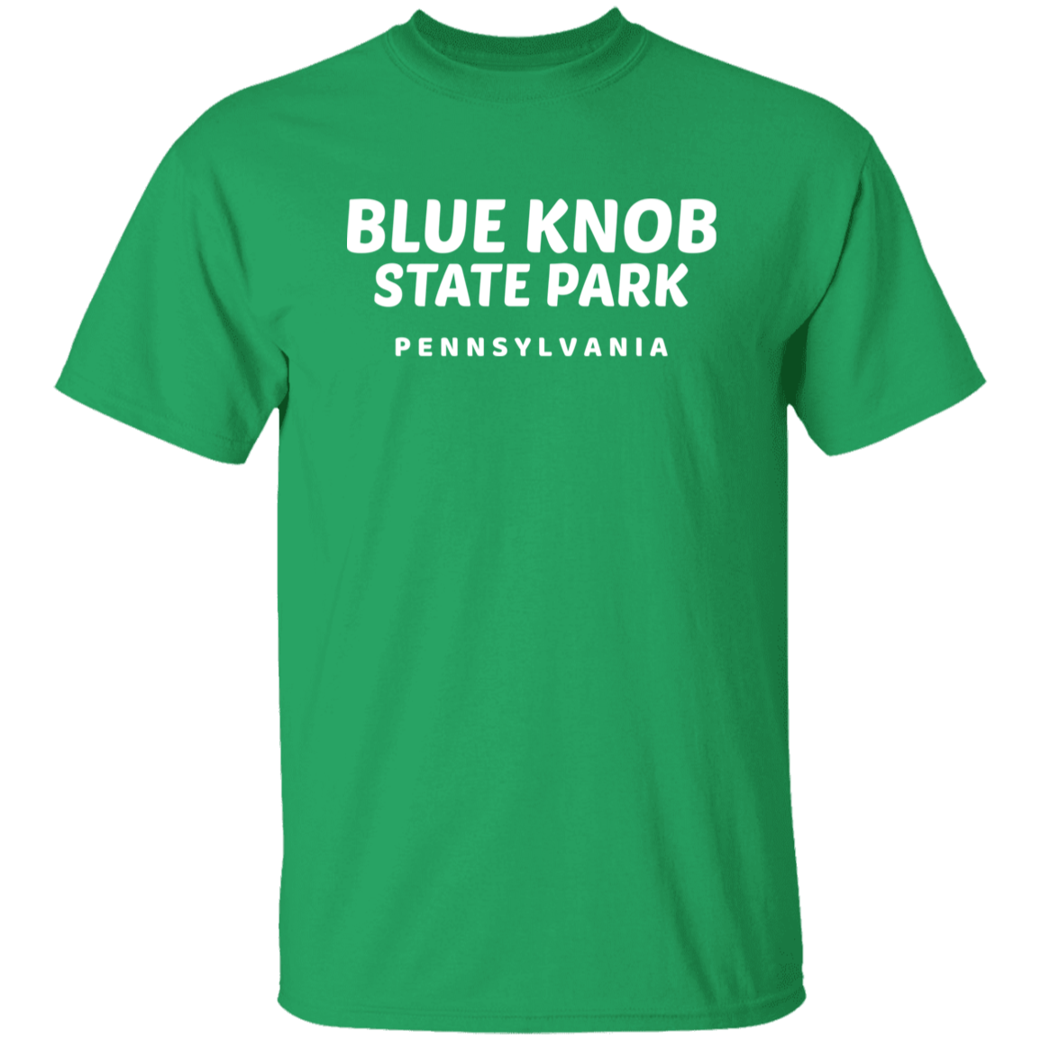 Blue Knob State Park T-Shirt