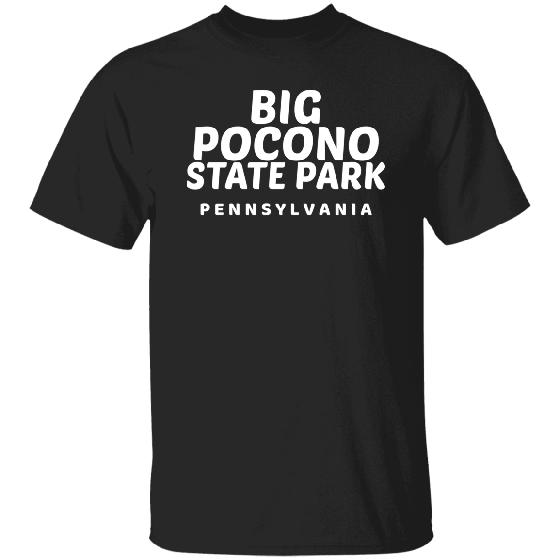 Big Pocono State Park T-Shirt