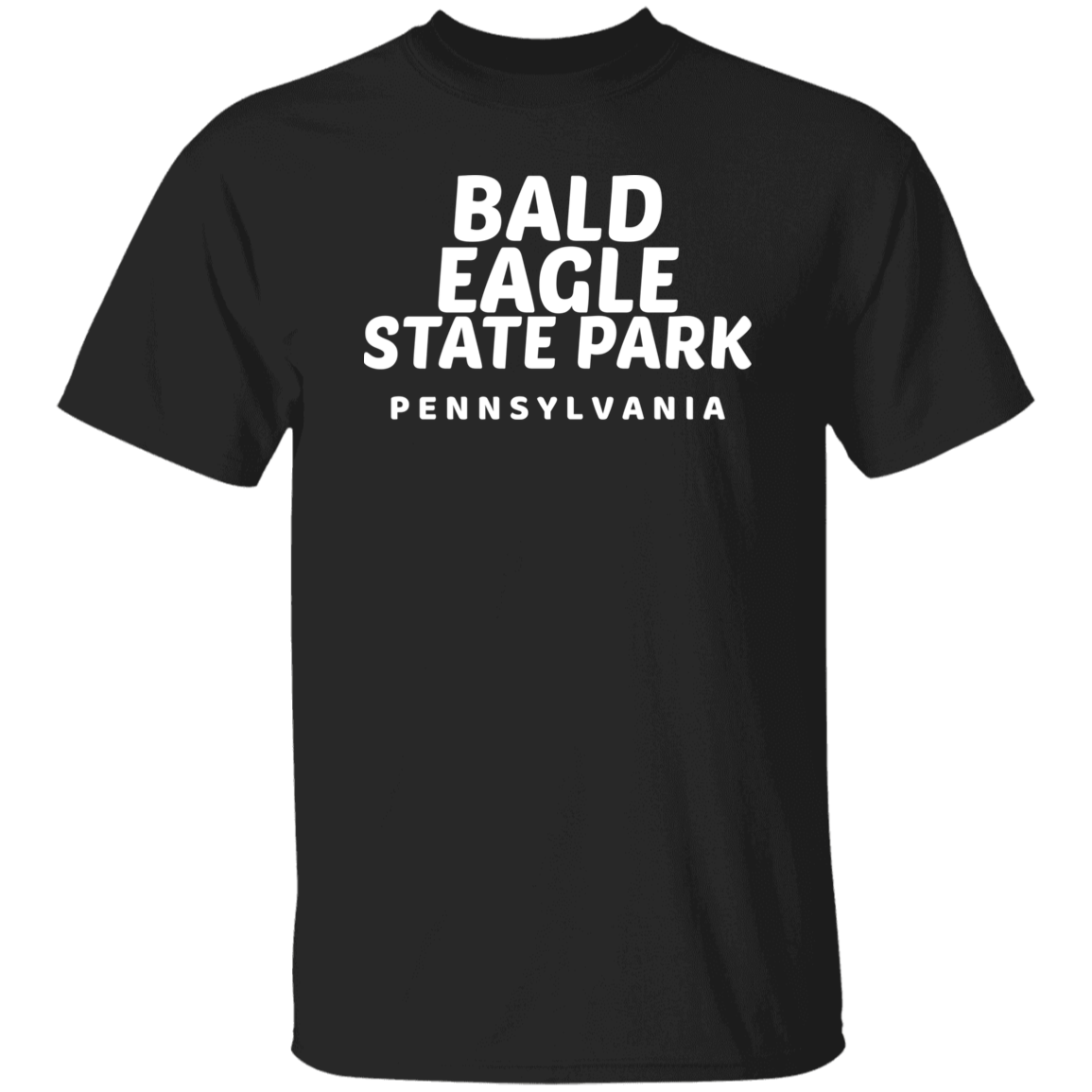 Bald Eagle State Park T-Shirt