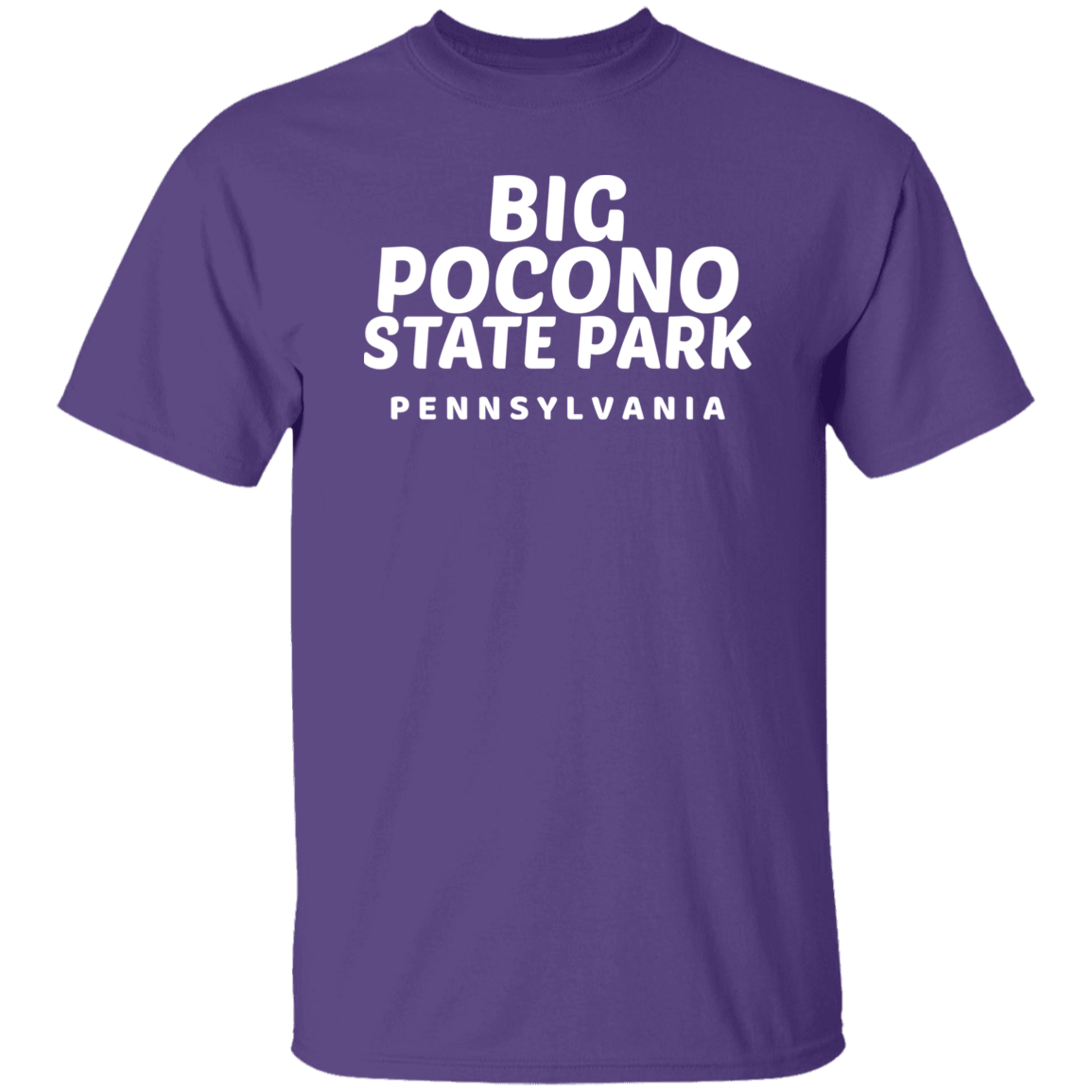 Big Pocono State Park T-Shirt