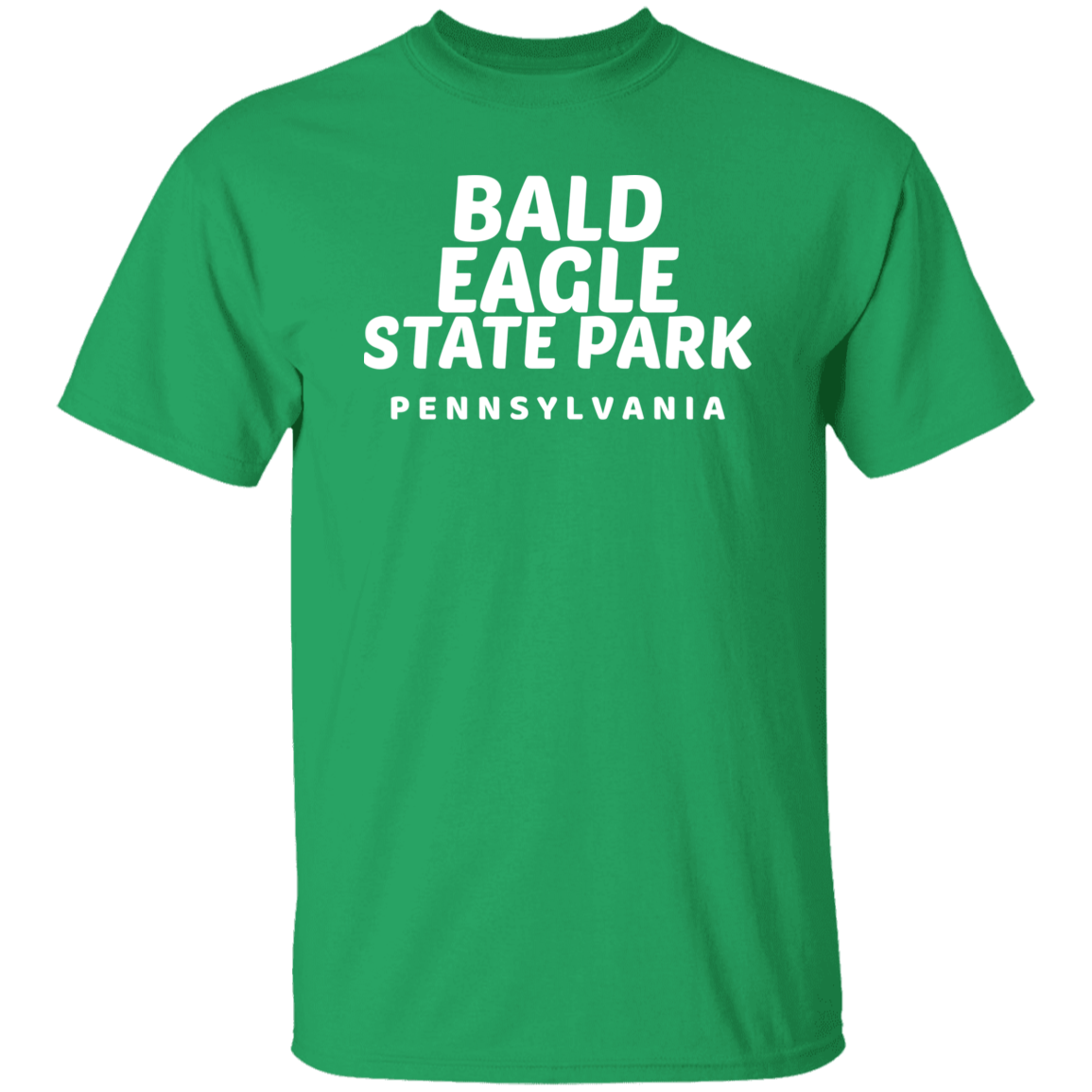 Bald Eagle State Park T-Shirt