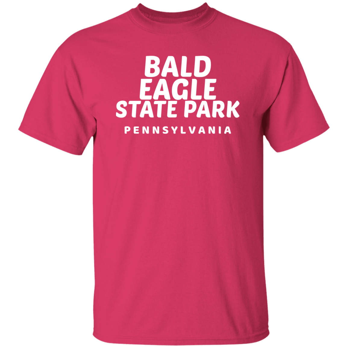 Bald Eagle State Park T-Shirt