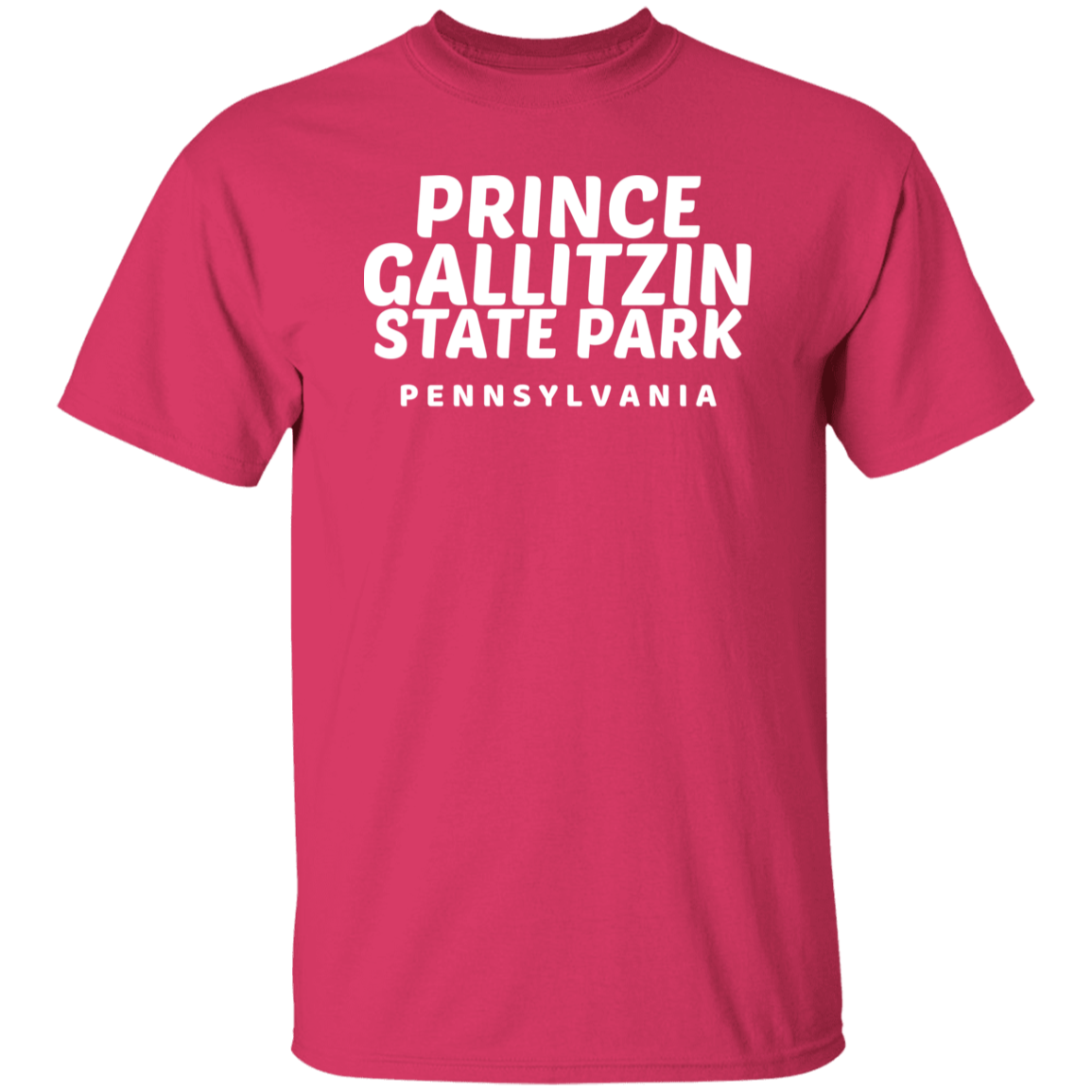 Prince Gallitzin State Park T-Shirt