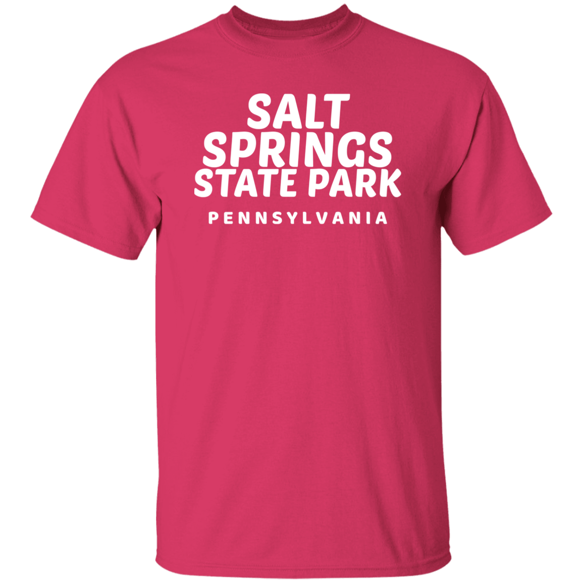 Salt Springs State Park T-Shirt