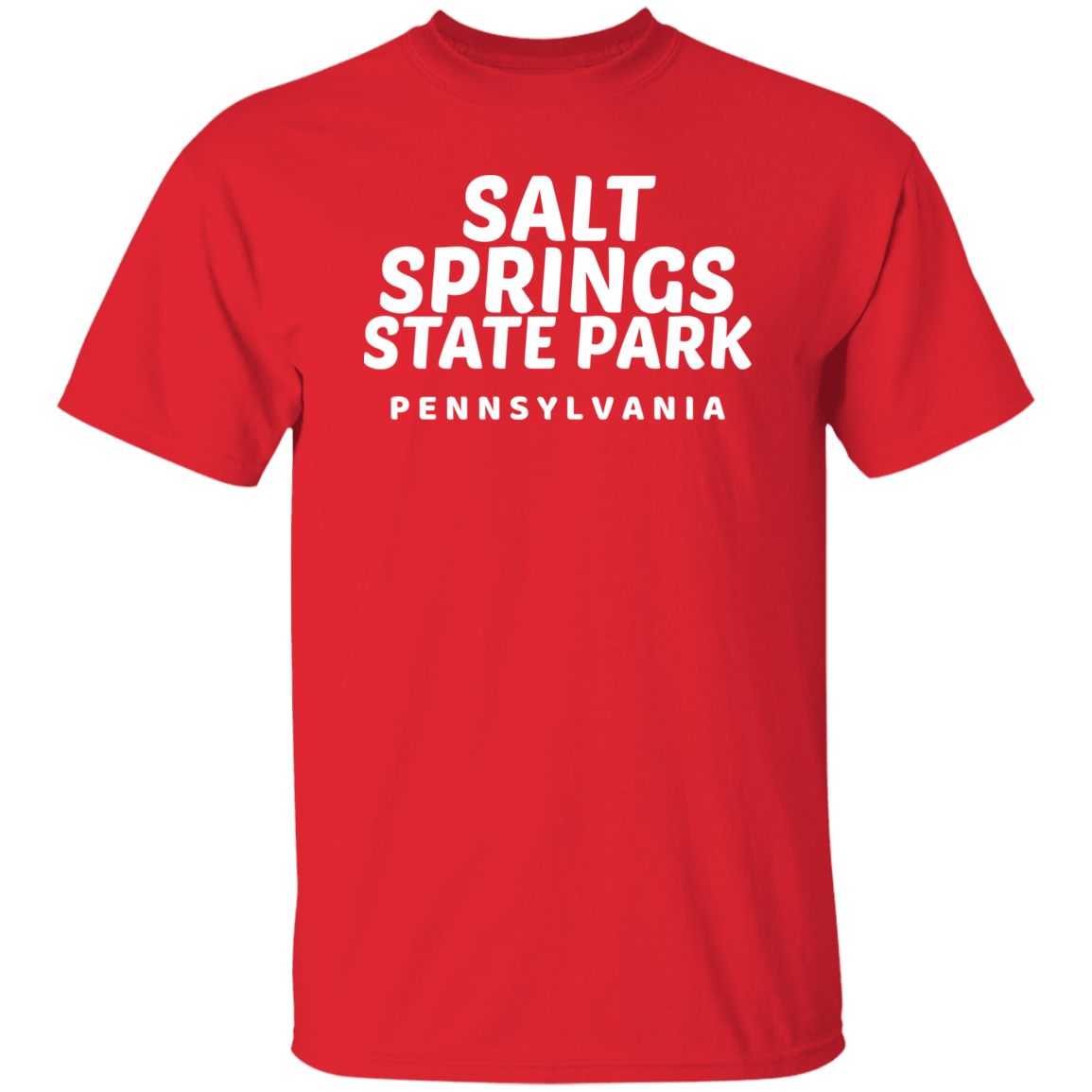 Salt Springs State Park T-Shirt
