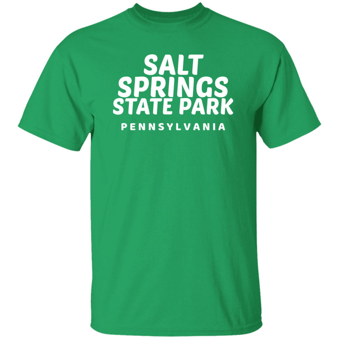 Salt Springs State Park T-Shirt