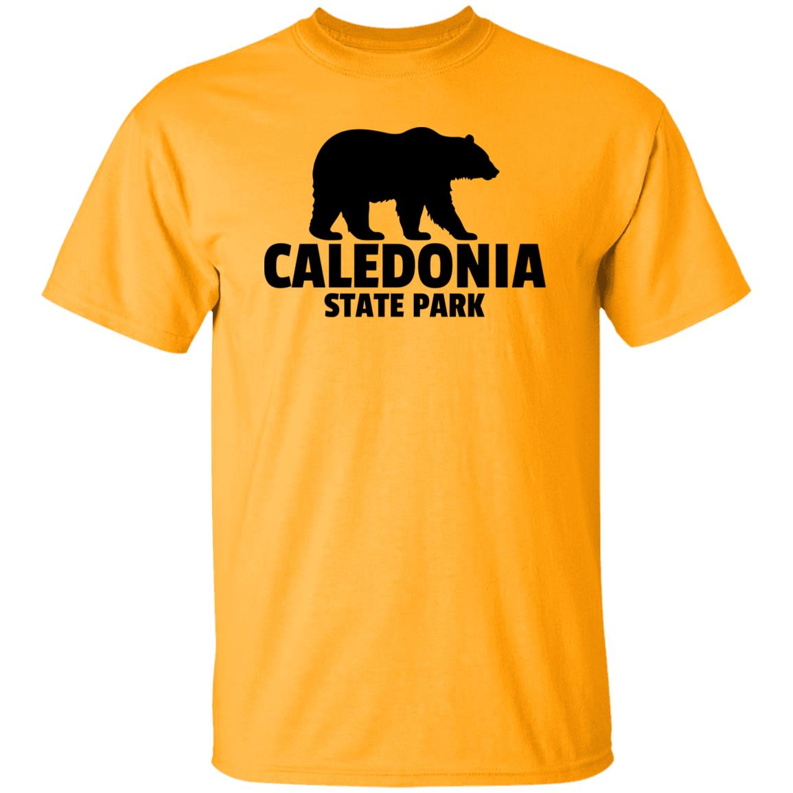 Caledonia State Park T-Shirt