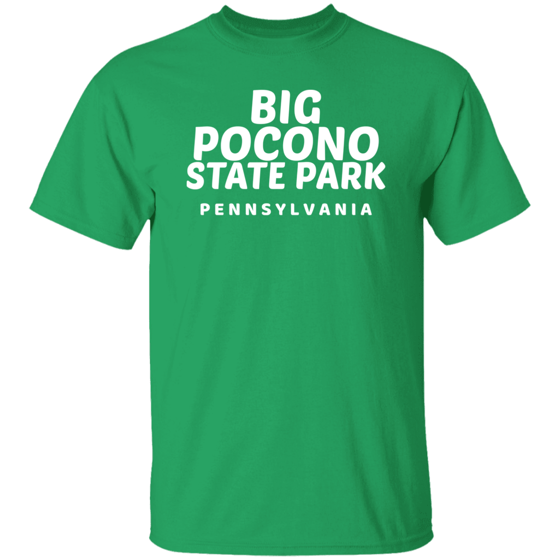Big Pocono State Park T-Shirt