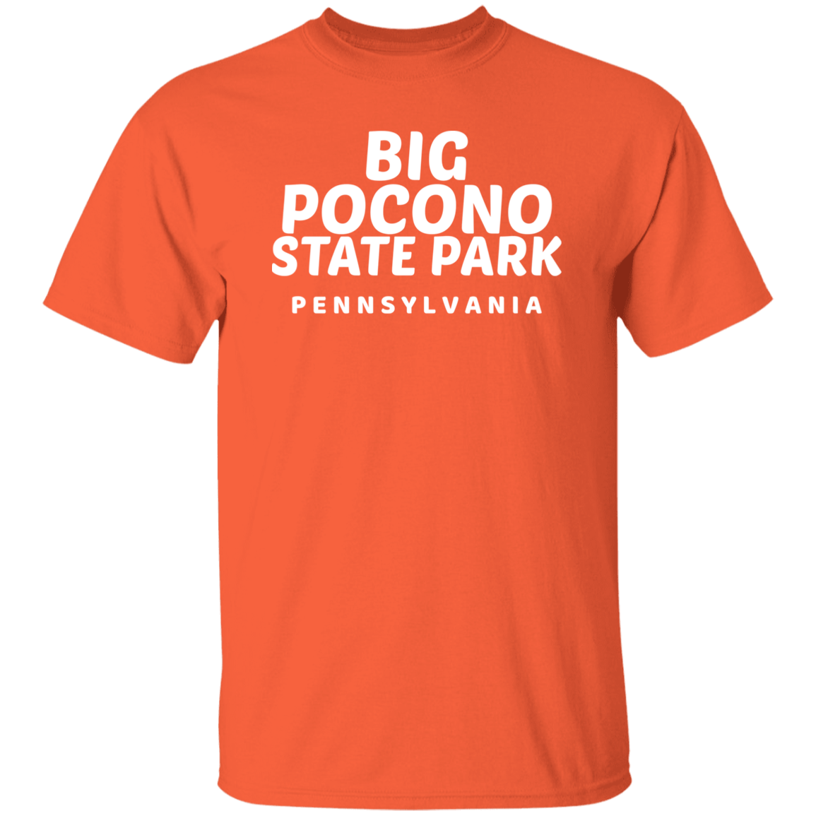 Big Pocono State Park T-Shirt