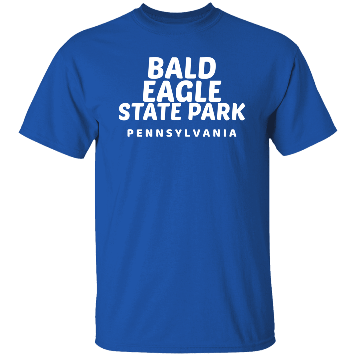 Bald Eagle State Park T-Shirt