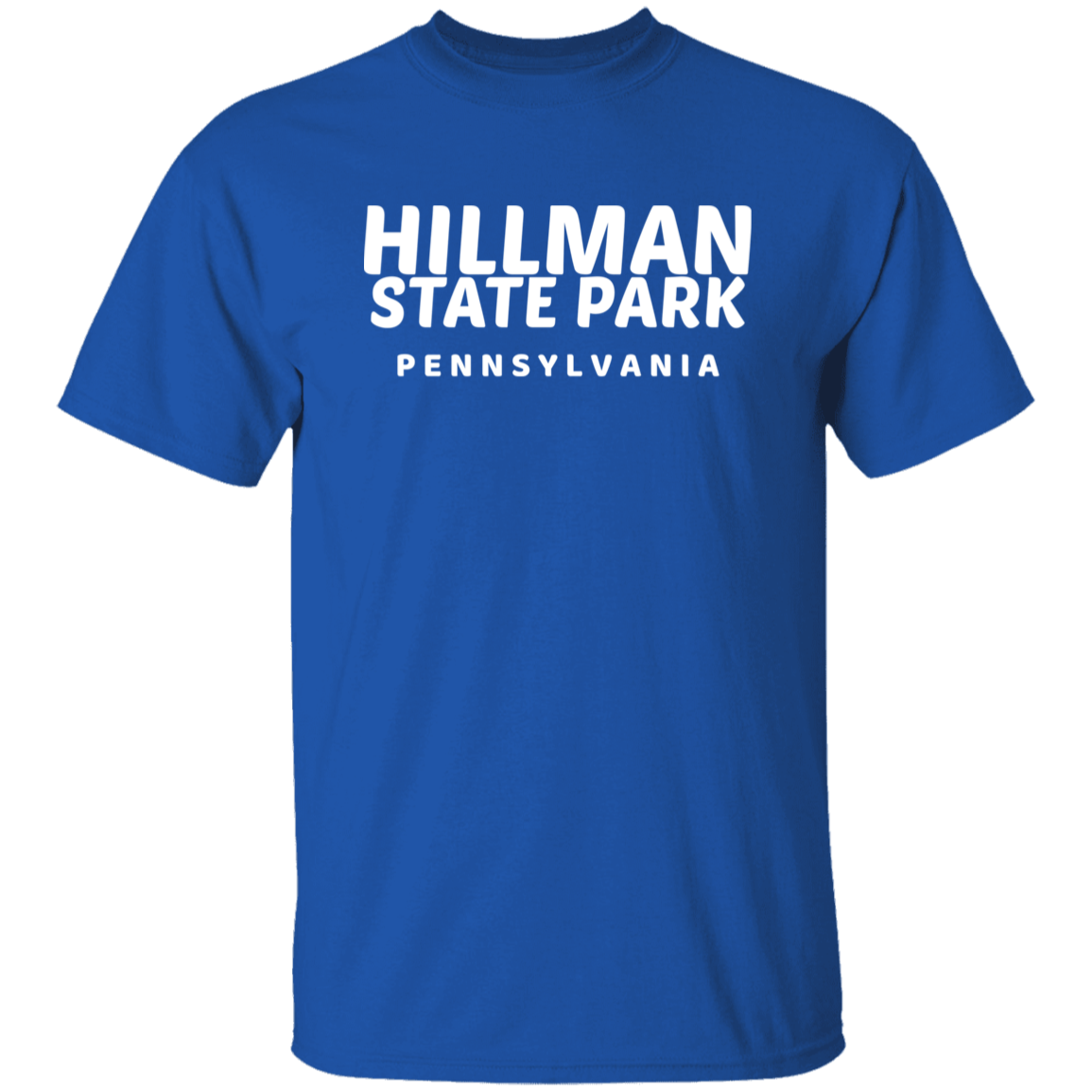 Hillman State Park T-Shirt
