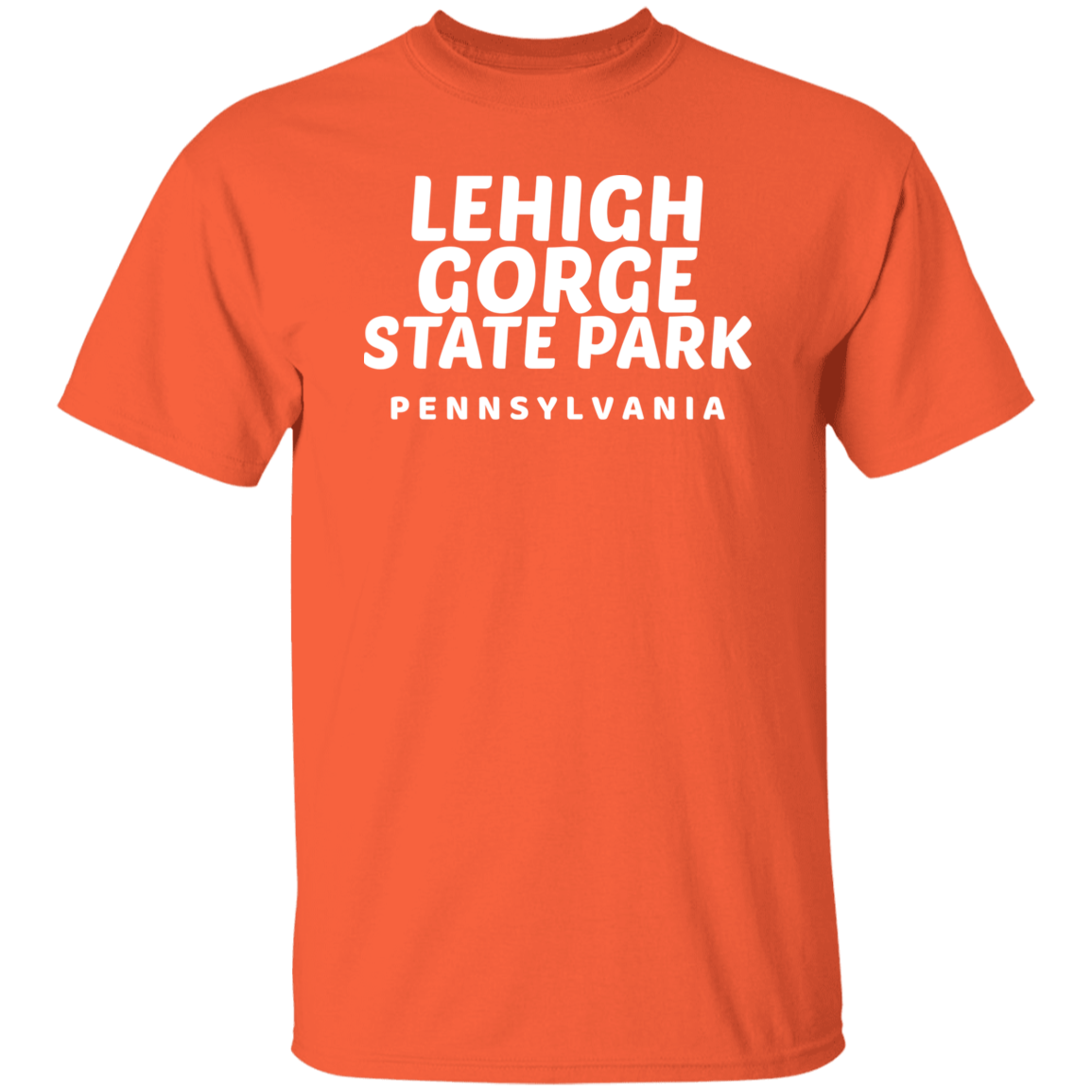 Lehigh Gorge State Park T-Shirt