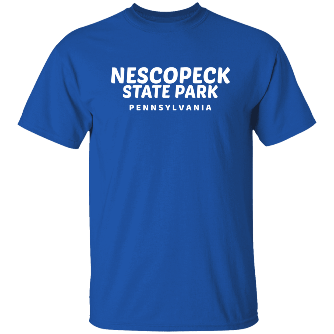 Nescopeck State Park T-Shirt
