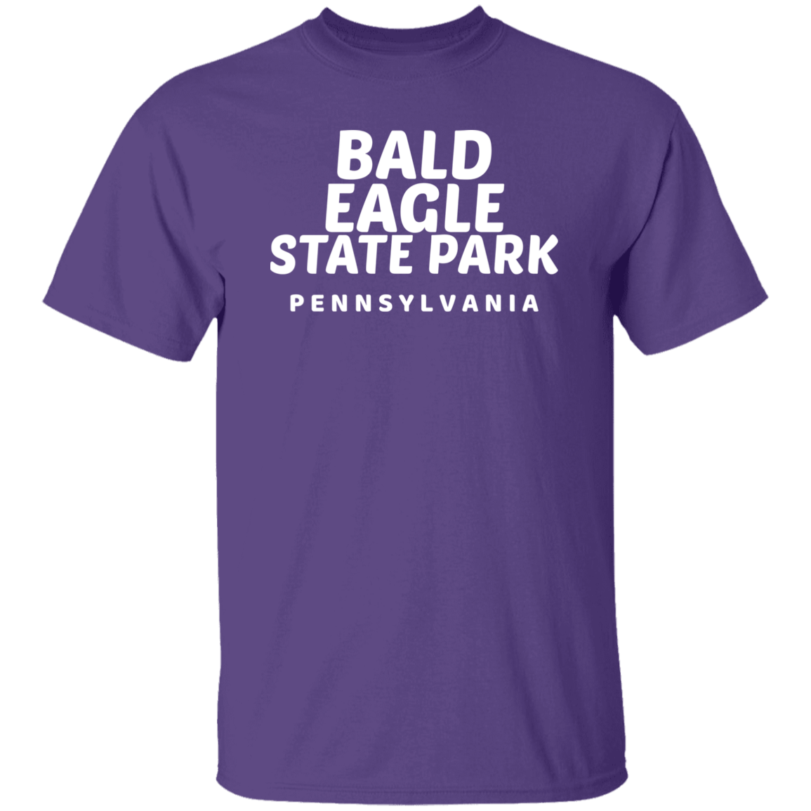 Bald Eagle State Park T-Shirt
