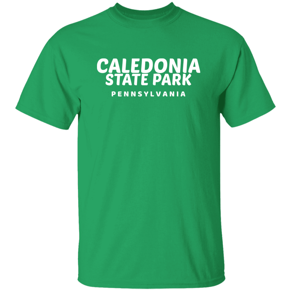 Caledonia State Park T-Shirt