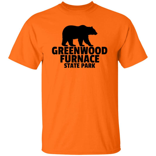 Greenwood Furnace State Park T-Shirt