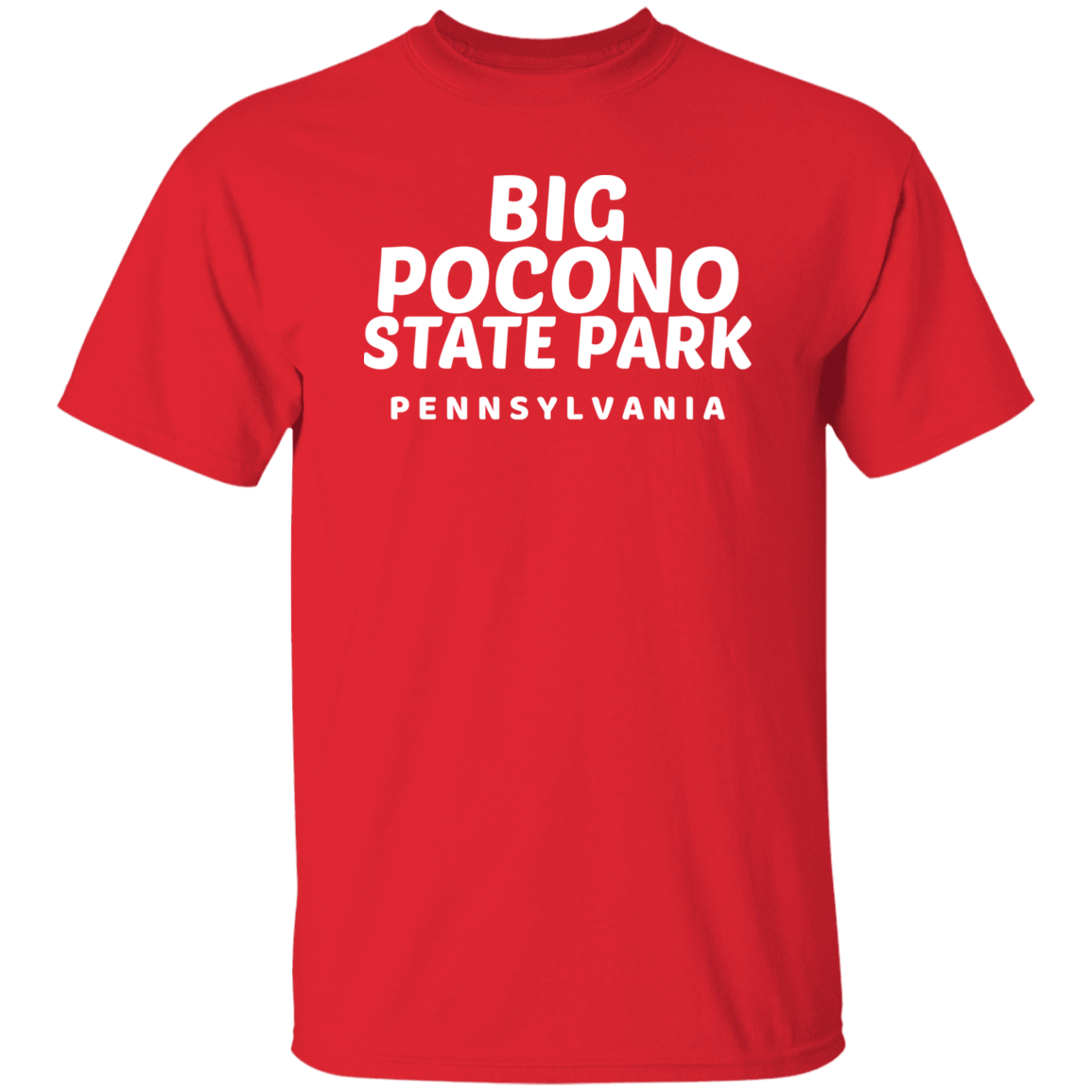Big Pocono State Park T-Shirt