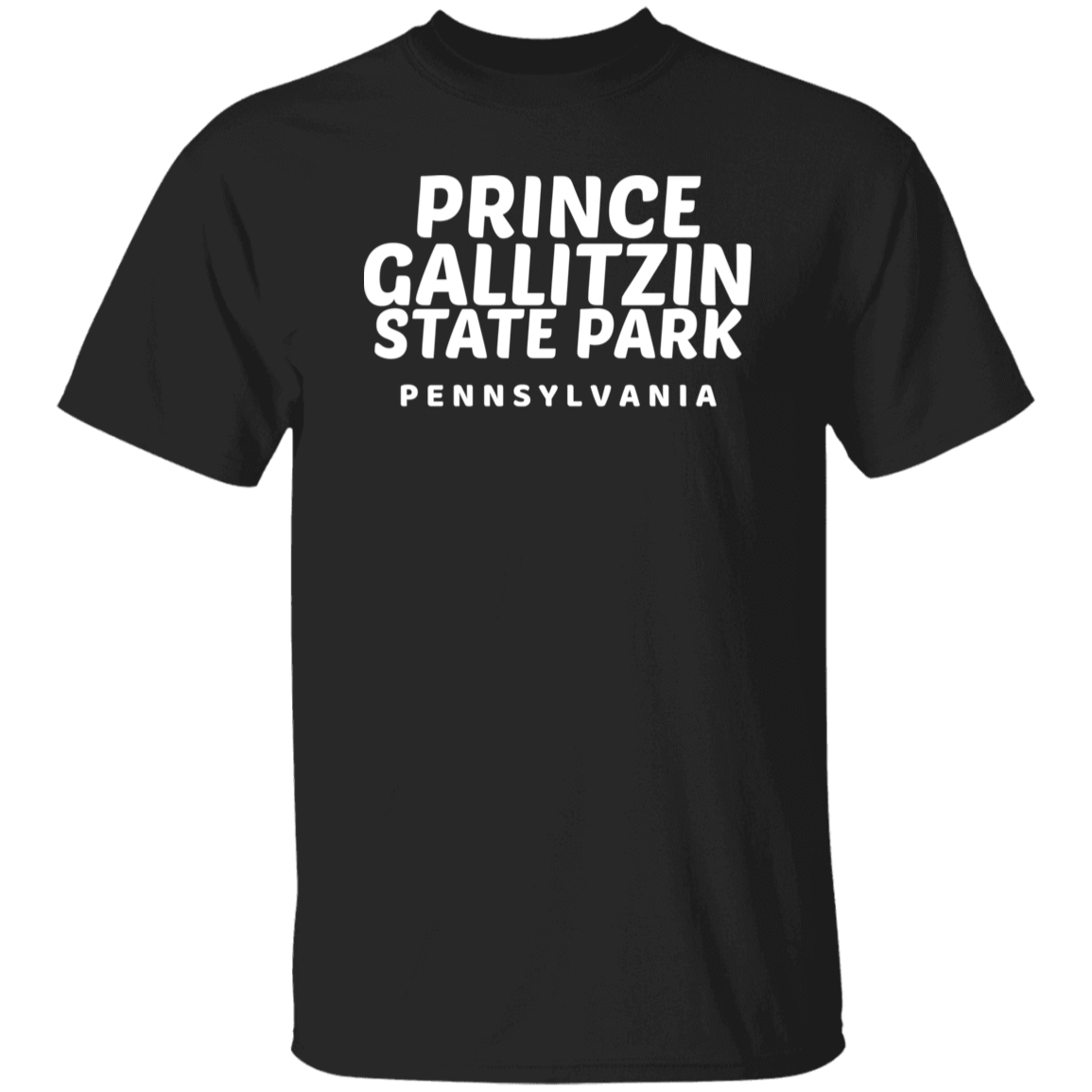 Prince Gallitzin State Park T-Shirt