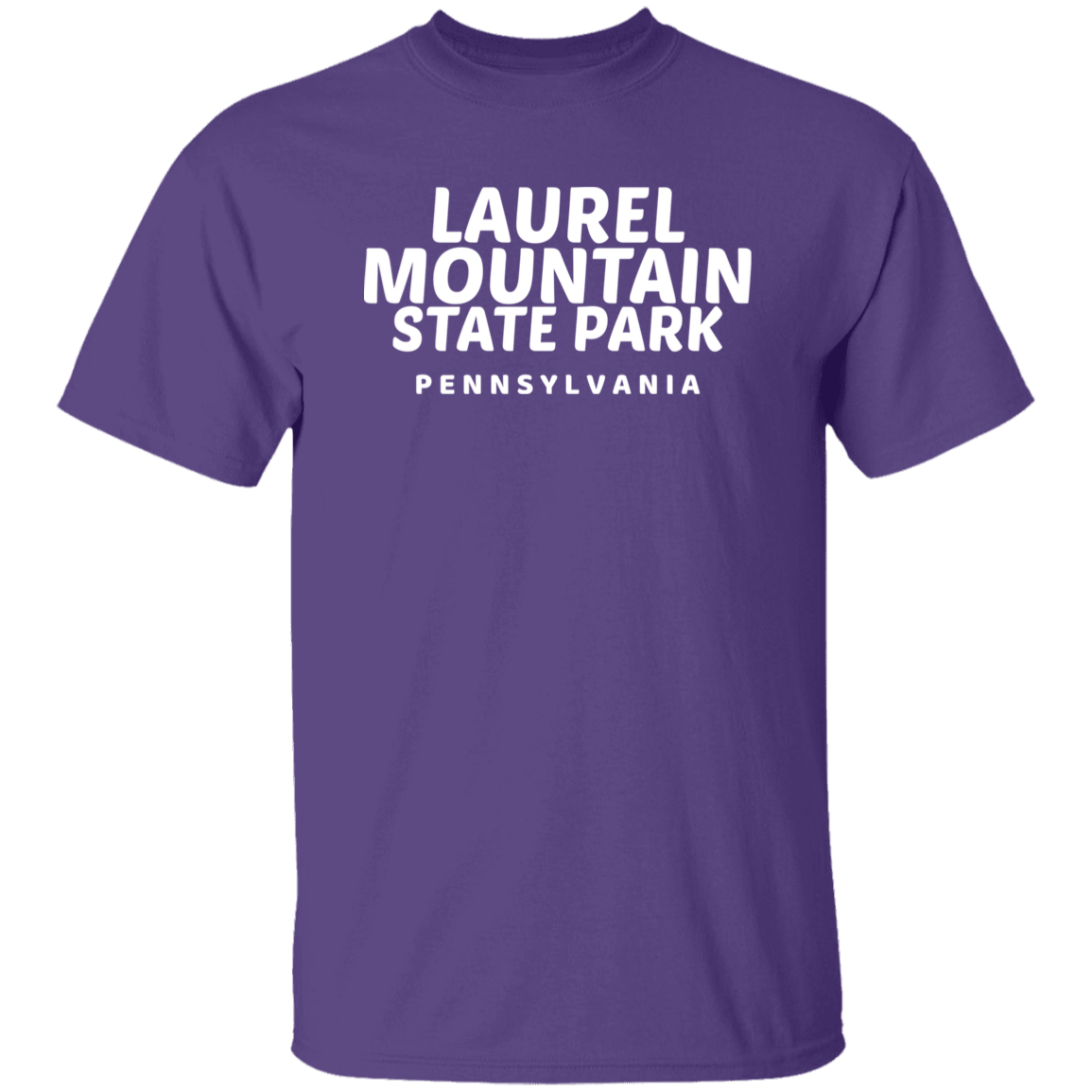 Laurel Mountain State Park T-Shirt